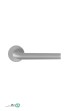 abish-(4).jpg-thumbnail