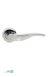 image_2025-08-26_145952776.png-thumbnail