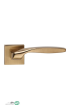 image_2025-08-26_150542626.png-thumbnail